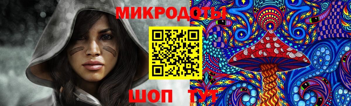Псилоцибиновые грибы Psilocybine cubensis  Вход с VPN  Знаменск  Галлюциногенные грибы мицелий 
